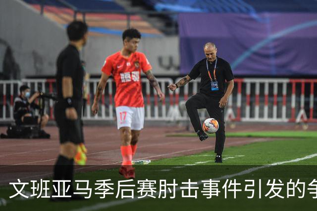 文班亚马季后赛肘击事件引发的争议与后果