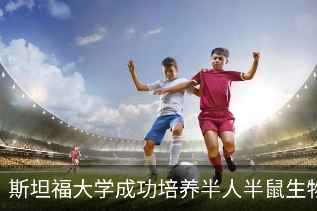 斯坦福大学成功培养半人半鼠生物，科学家严禁灵长类实验